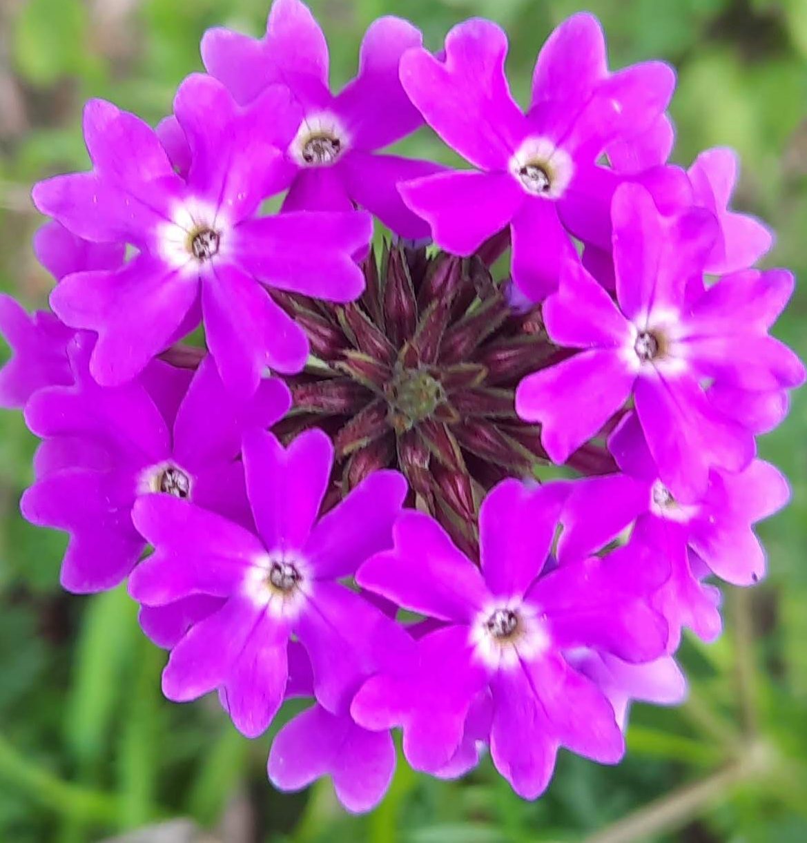 Importance of Executive Presence and Senior Leadership Visibility to Career Success and Growth