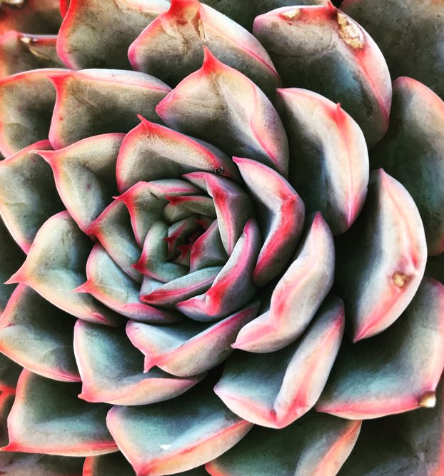 Virtual Meetings: Understanding the New Reality